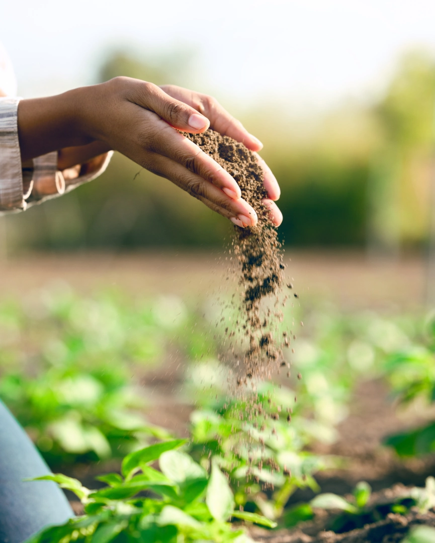 agriculture-education
